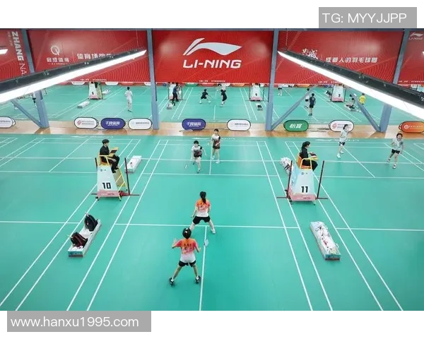 羽毛球专题:深入解析成都羽毛球队的技术特点与训练方法