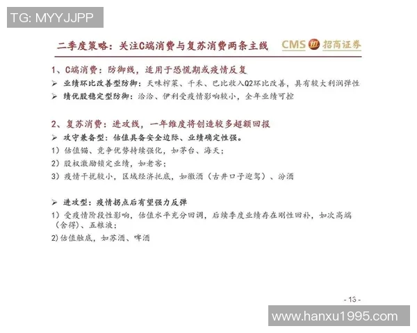 深圳排球队防守策略深度解析与战术运用探讨